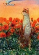 Аватара пользователя