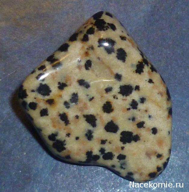 Минералы №91 Роговая Обманка фото, обсуждение