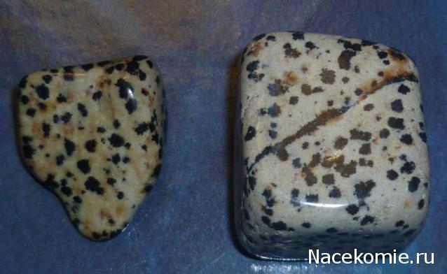 Минералы №91 Роговая Обманка фото, обсуждение