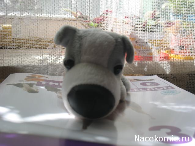 The Dog Collection №34 Грейхаунд