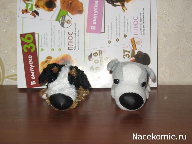 The Dog Collection 2010 - График Выхода и обсуждение