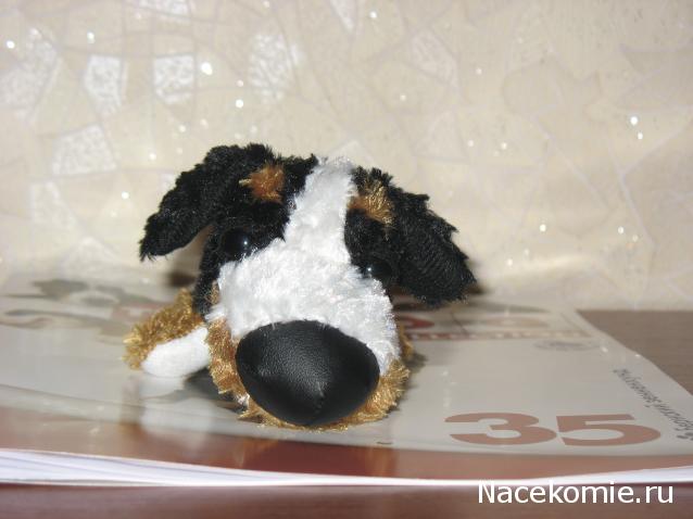 The Dog Collection 2010 - График Выхода и обсуждение