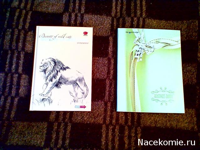 Астрология и Искусство Предсказания - График Выхода и обсуждение