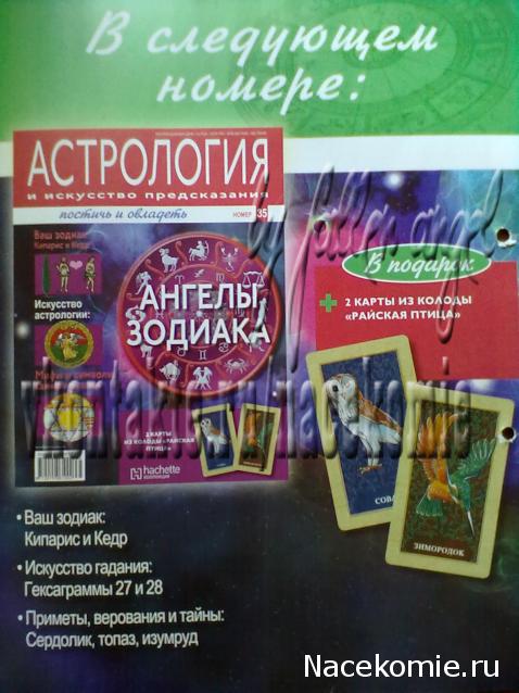 Астрология и Искусство Предсказания - График Выхода и обсуждение