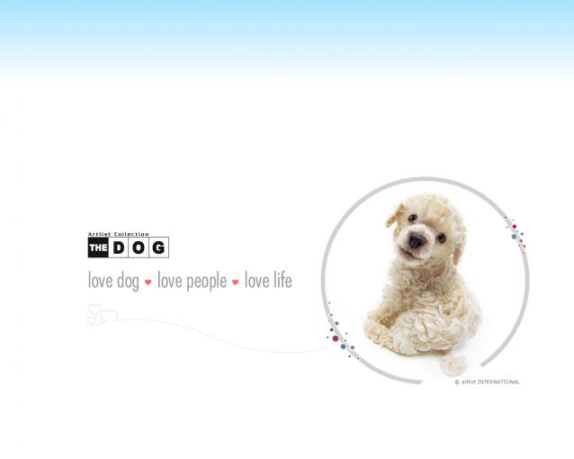 The Dog Collection 2010 - График Выхода и обсуждение