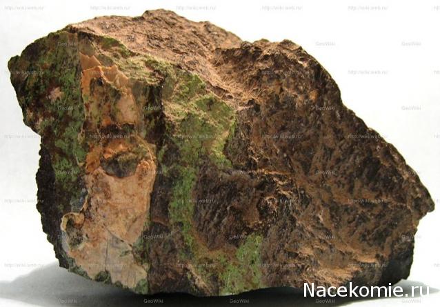 Минералы Сокровища Земли (2009) - График Выхода и обсуждение