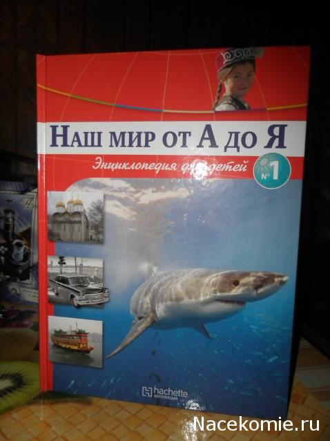 Энциклопедия для детей - Наш мир от А до Я