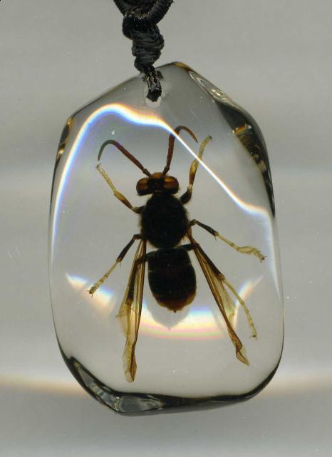 Насекомые в Акриле НЕ из Журнала