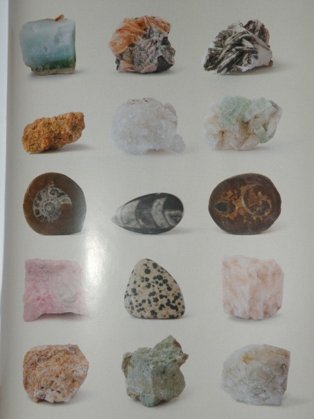 Минералы Сокровища Земли (2009) - График Выхода и обсуждение