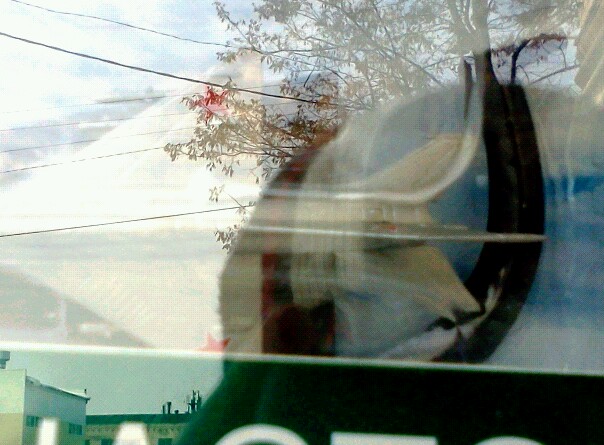 Легендарные Самолеты - График выхода и обсуждение