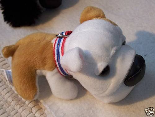 The Dog Collection 2010 - График Выхода и обсуждение