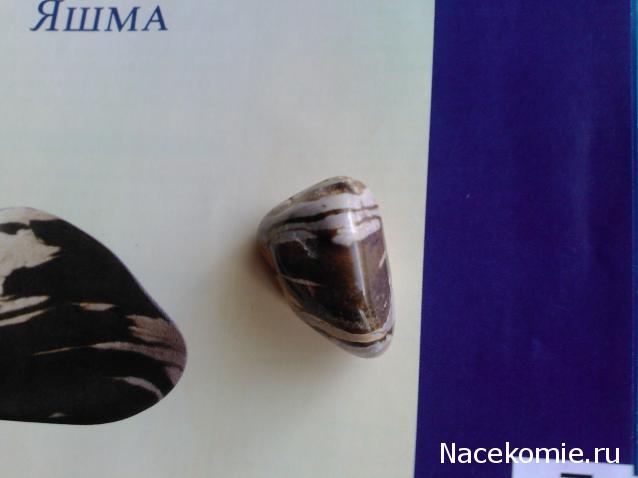 Энергия камней №19 Яшма (Окатанный камень) фото, обсуждение
