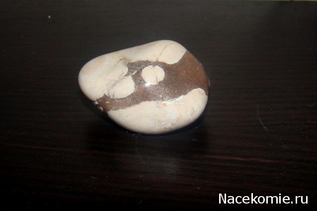 Энергия камней №19 Яшма (Окатанный камень) фото, обсуждение