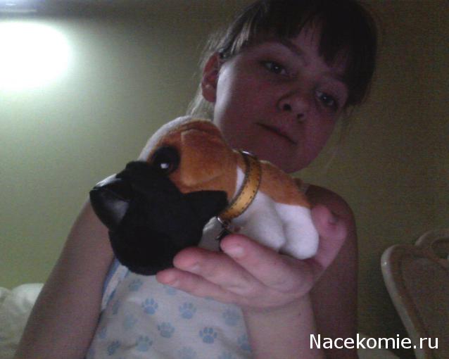 The Dog Collection 2010 - График Выхода и обсуждение