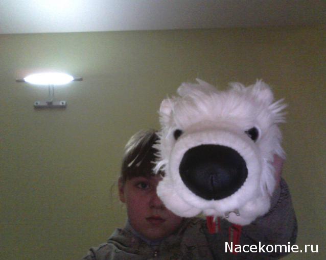 The Dog Collection 2010 - График Выхода и обсуждение