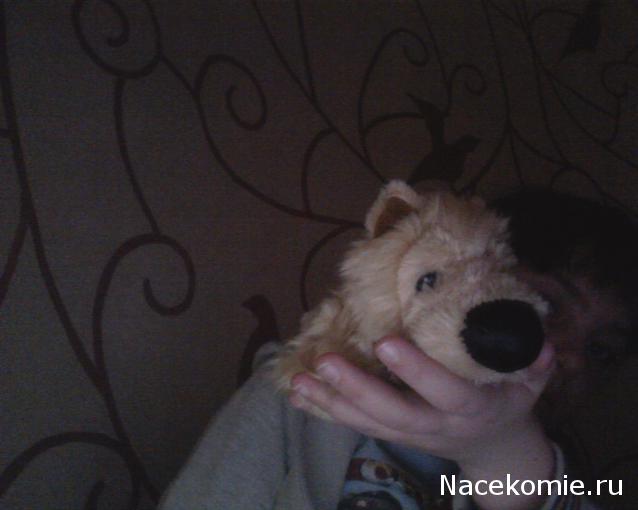 The Dog Collection 2010 - График Выхода и обсуждение