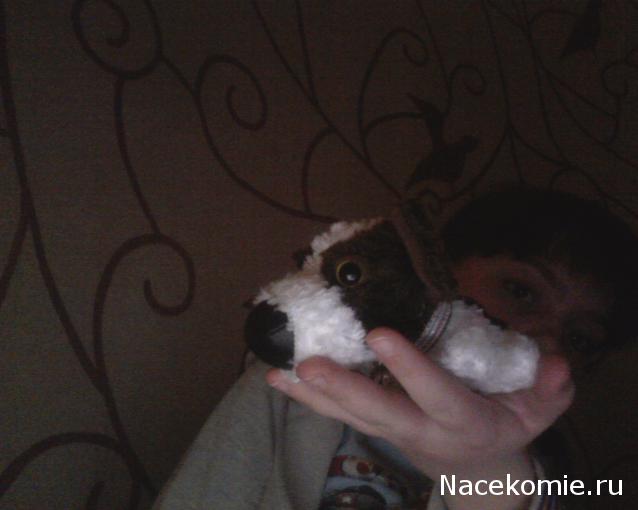 The Dog Collection 2010 - График Выхода и обсуждение