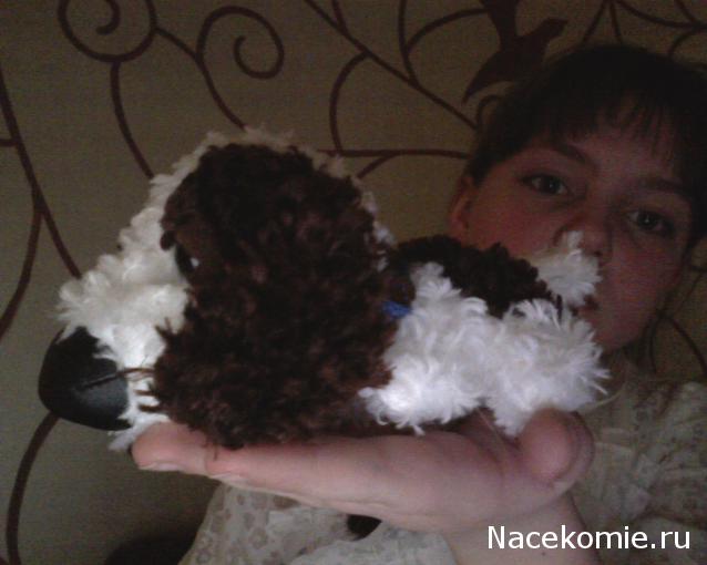 The Dog Collection 2010 - График Выхода и обсуждение