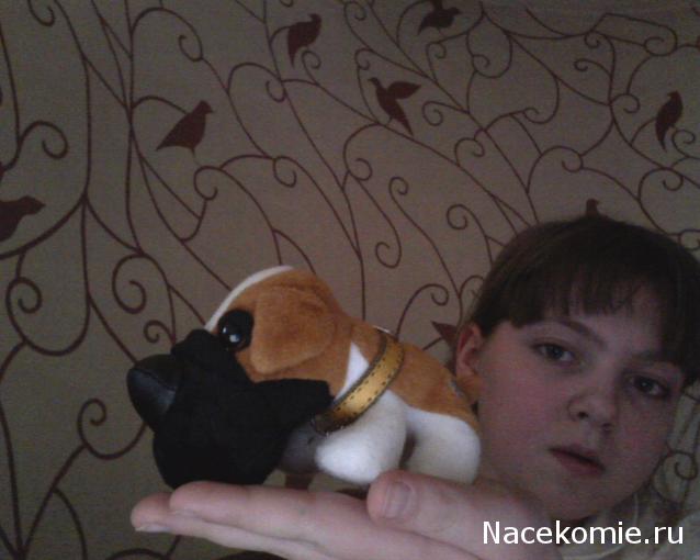 The Dog Collection 2010 - График Выхода и обсуждение