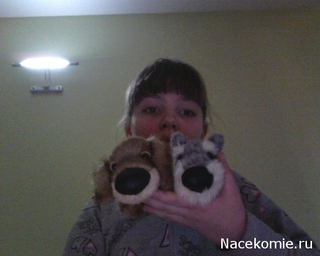 The Dog Collection 2010 - График Выхода и обсуждение