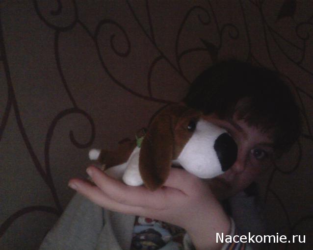 The Dog Collection 2010 - График Выхода и обсуждение