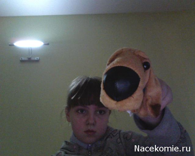 The Dog Collection 2010 - График Выхода и обсуждение