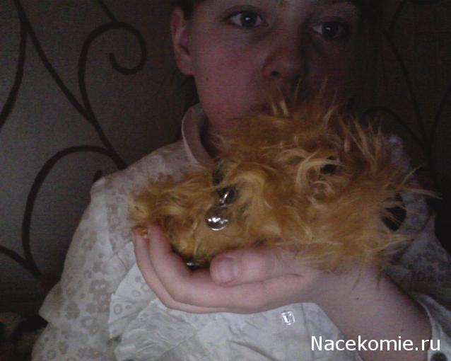 The Dog Collection 2010 - График Выхода и обсуждение