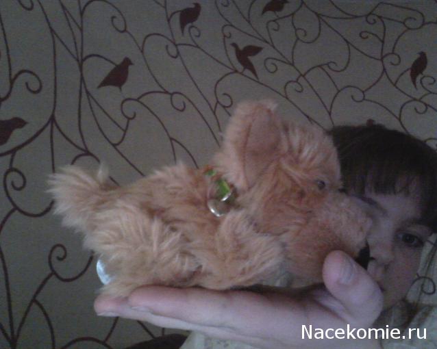 The Dog Collection 2010 - График Выхода и обсуждение