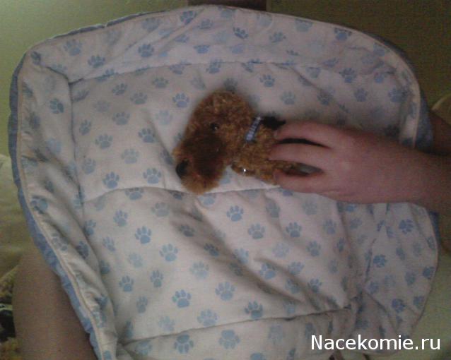 The Dog Collection 2010 - График Выхода и обсуждение