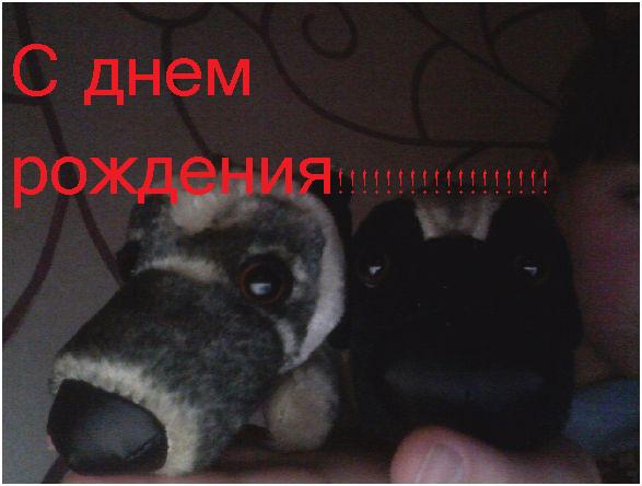 The Dog Collection 2010 - График Выхода и обсуждение