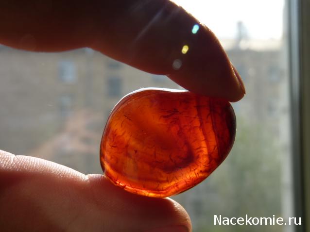 Энергия камней №31 Сердолик (окатанный камень) фото, обсуждение