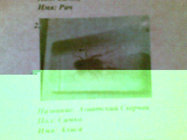 Насекомые и их знакомые 2010 График Выхода и обсуждение