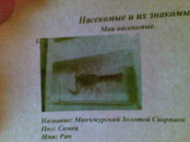 Насекомые и их знакомые 2010 График Выхода и обсуждение