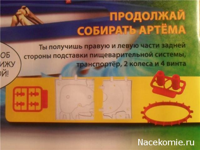 "Собери и познай человеческое тело" (сборка скелета)