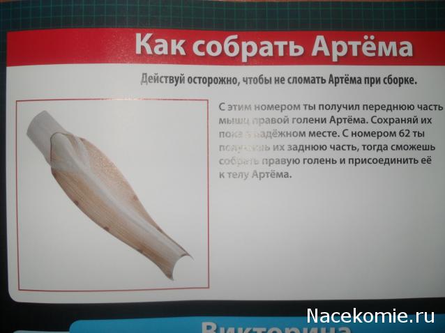 "Собери и познай человеческое тело" (сборка скелета)