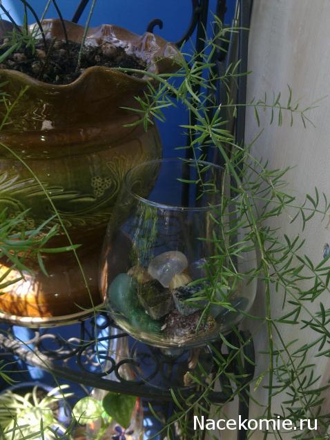 Энергия камней - Кейс, Хранение и Оформление Коллекции