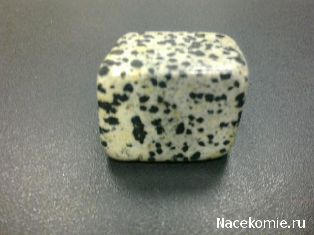 Энергия камней №22 Далматин (Диорит) ( Окатанный камень ) фото, обсуждение