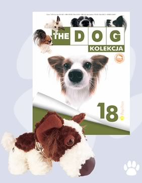 The Dog Collection 2010 - График Выхода и обсуждение