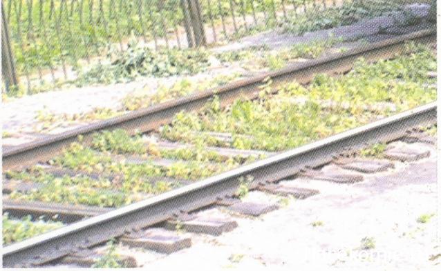 Русские Танки - График Выхода и обсуждение