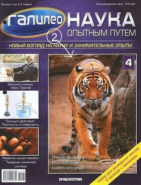 Галилео Наука опытным путем