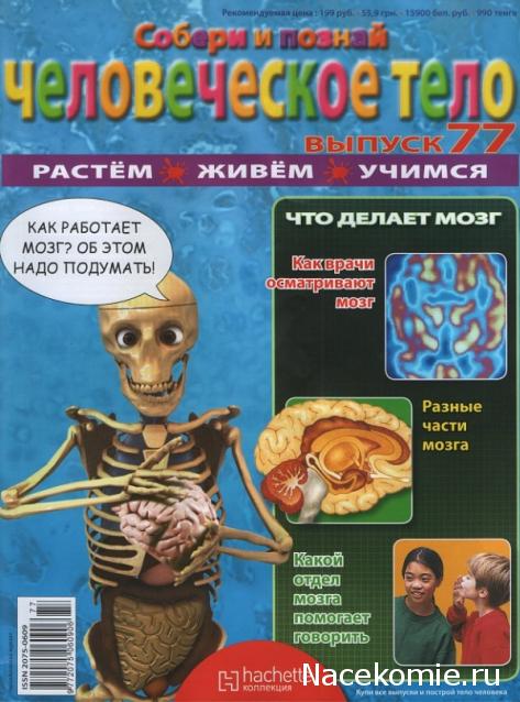 "Собери и познай человеческое тело" (сборка скелета)