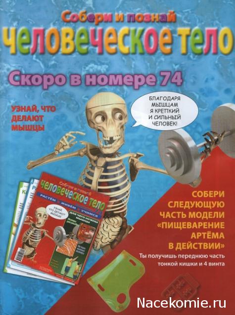 "Собери и познай человеческое тело" (сборка скелета)