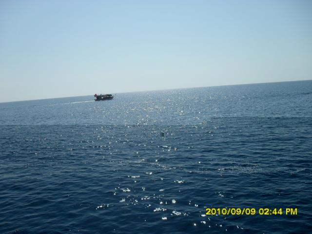 Болталка)) или милые детки, пишите сюда)))