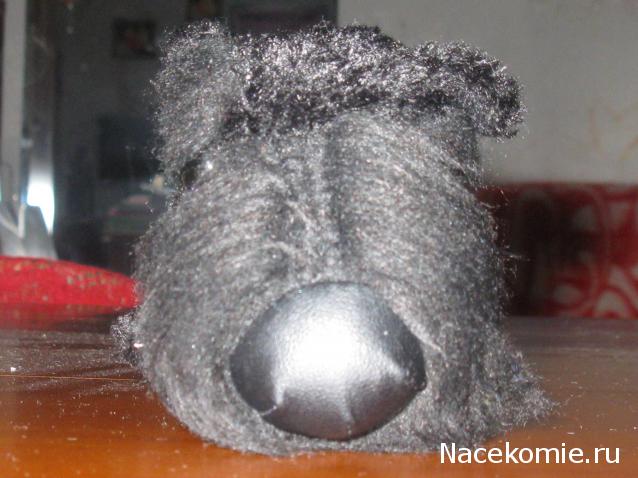 The Dog Collection 2010 - График Выхода и обсуждение