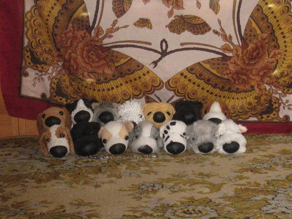 The Dog Collection 2010 - График Выхода и обсуждение