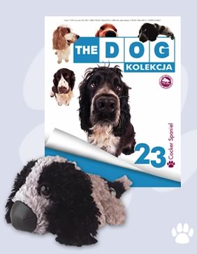 The Dog Collection 2010 - График Выхода и обсуждение