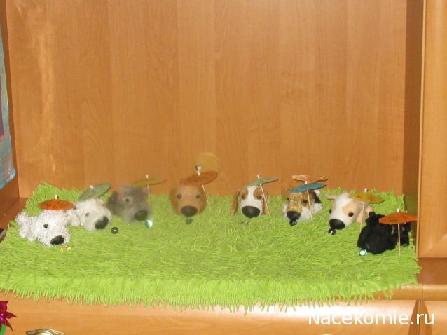 The Dog Collection 2010 - График Выхода и обсуждение