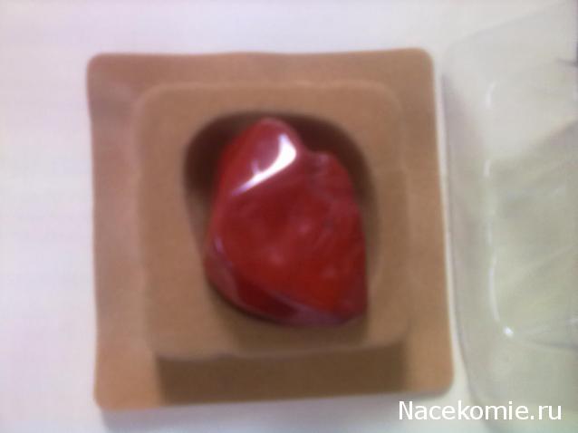 Энергия камней №23 Красная яшма ( Окатанный камень ) фото, обсуждение