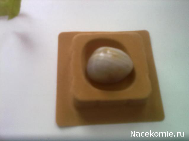 Энергия камней №10 Агат (Окатанный камень) фото, обсуждение