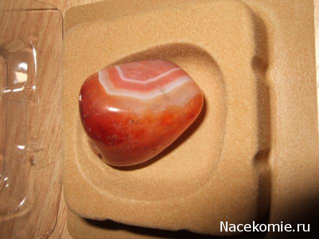 Энергия камней №31 Сердолик (окатанный камень) фото, обсуждение